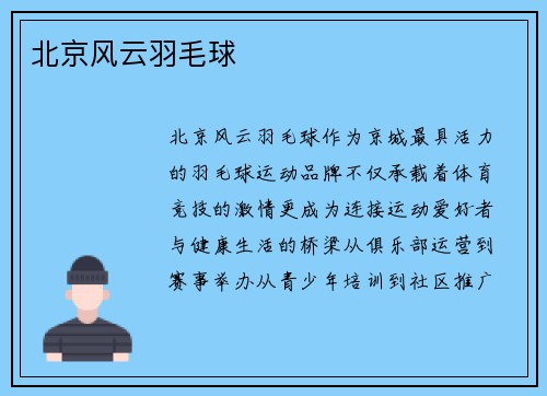 北京风云羽毛球