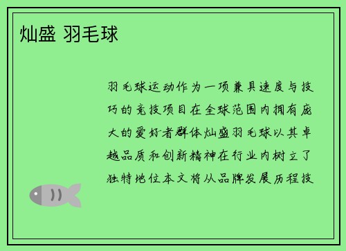 灿盛 羽毛球