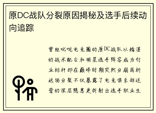 原DC战队分裂原因揭秘及选手后续动向追踪